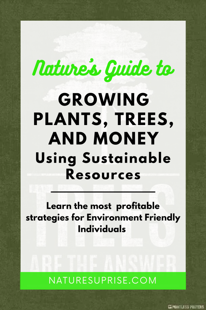 Nature’s Guide to Growing Plants, Trees, and Money Using Sustainable Resources